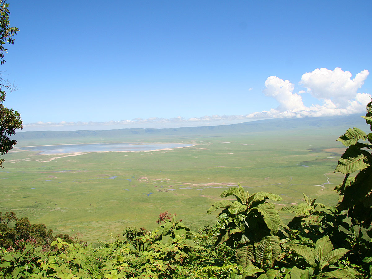 wp-content/uploads/itineraries/Safari/safari-ngorongoro (1).jpg